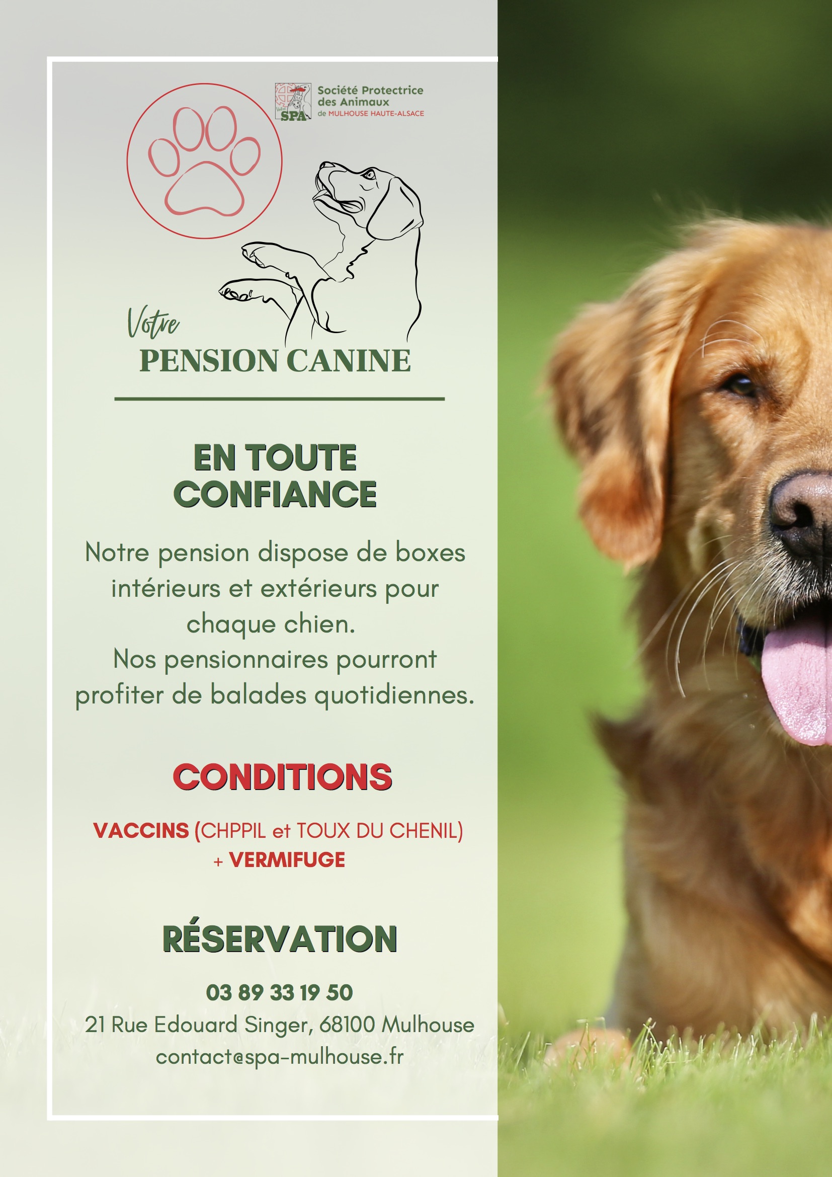 Flyer Pension Canine