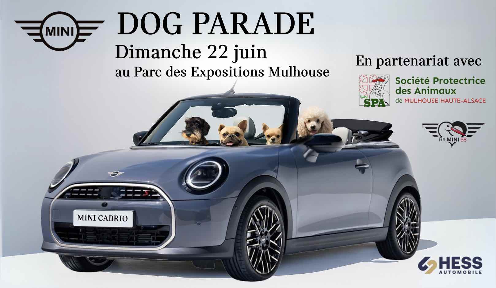 dogparade
