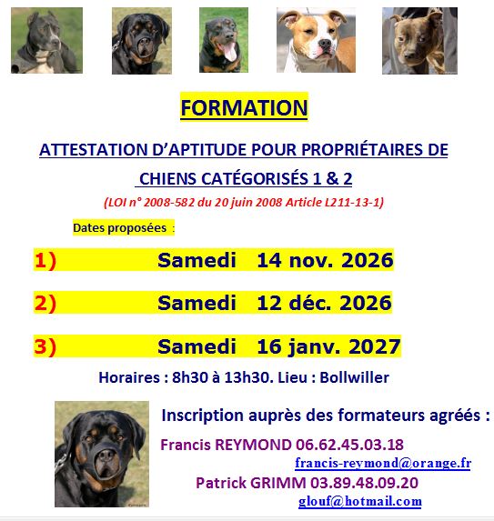 formation1126