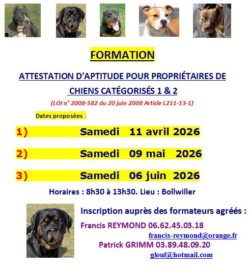 formation2026 (1)