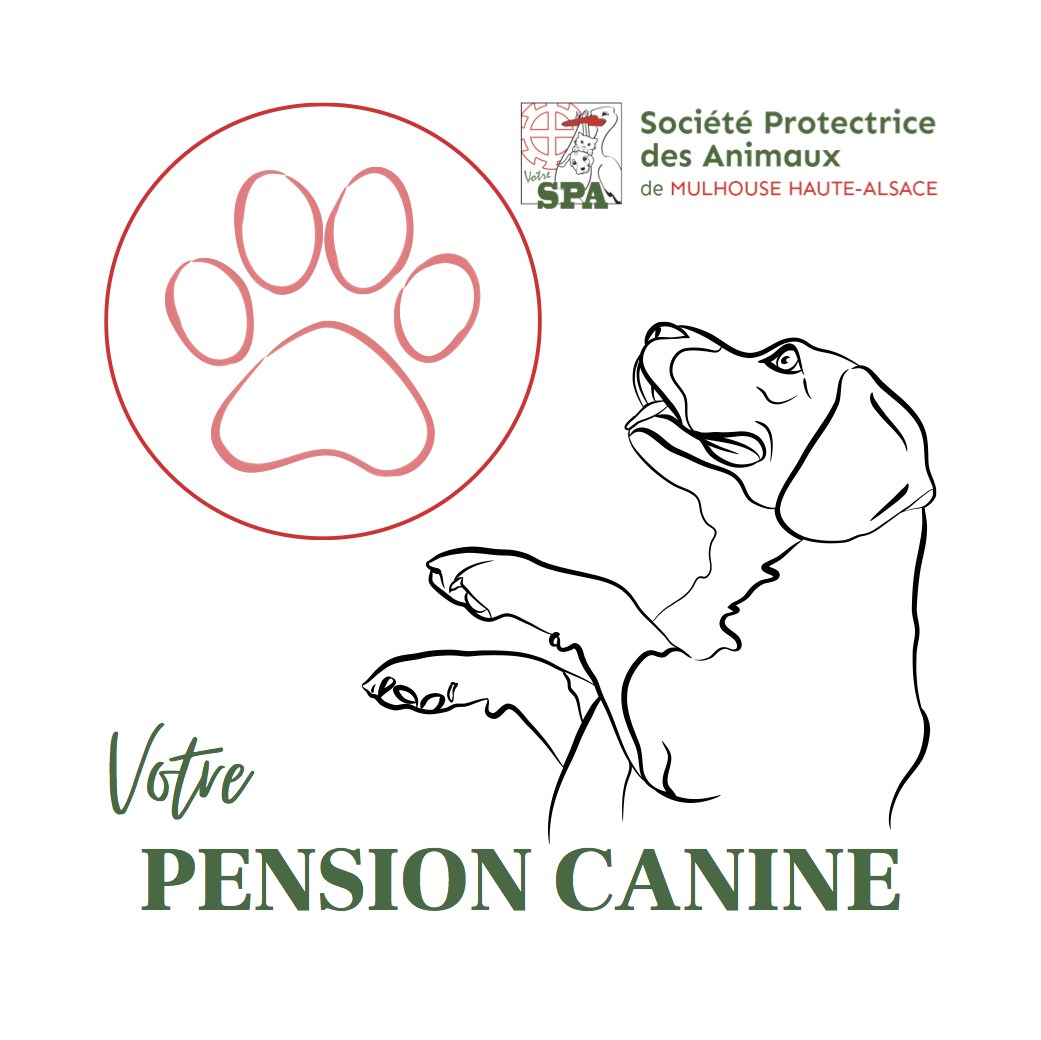 logopensionsanine