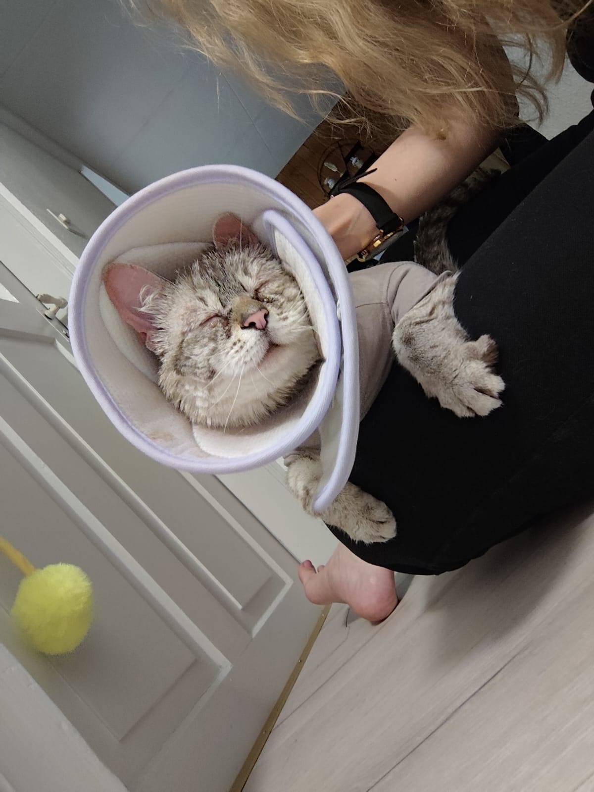 mimi4