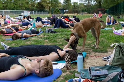pilates26