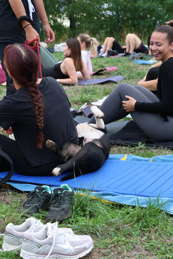 pilates6