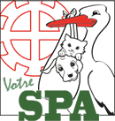 Logo SPA